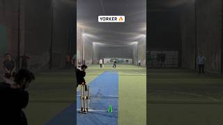 Speed Sensation Bowling Moments 🔥 Cricket Pace Bowlers Yorkers Changed Match cricket shorts [upl. by Gaskins123]