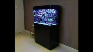 Red Sea MAX 250 ultimate allinone Plug amp Play coral reef aquarium System [upl. by Manville]