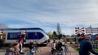 Spoorwegovergang Assendelft  Dutch railroad crossing [upl. by Drazze]