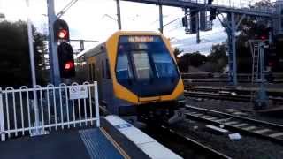 Sydney Trains Ashfield Station [upl. by Old33]