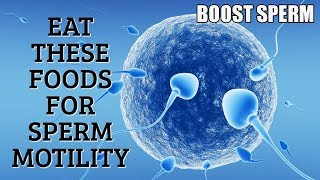 How to increase your spearm count Top 7 sperm motility foods you should start ll BOOST SPERM [upl. by Esinet]