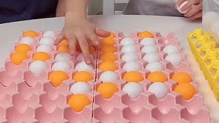 This activity really tests your focus and coordination skillspingpongballs pingpongers [upl. by Cinelli939]