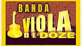 BANDA VIOLA DE DOZE  SAMBA DE RODA  SWINGUEIRA [upl. by Huntingdon]