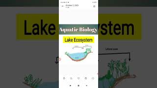 Aquatic biologylake ecosystem [upl. by Nnahaid]