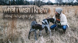 What I Wish I Knew About Owning A GSP [upl. by Morrie34]