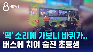 quot퍽 소리에 가보니 바퀴가quot 버스에 치여 숨진 초등생  SBS 8뉴스 [upl. by Eigriv835]