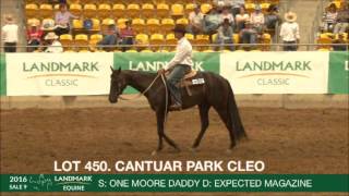 Landmark 2016 Classic Sale Lot 450 Cantaur Park Cleo [upl. by Niret]