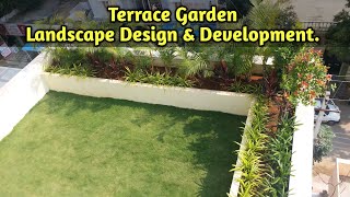 Terrace Garden Landscape Design amp Developmenttrending garden horticulture viral natureplants [upl. by Zetram806]