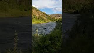 Video of Shoshone National Forest Rex Hale Campground WY from Tarrah C [upl. by Edrei]