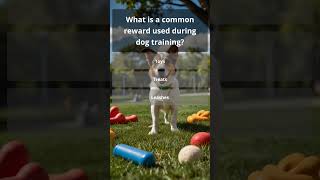 quotUnlocking Dog Training Why Clickers Work Wondersquot [upl. by Aihsat]