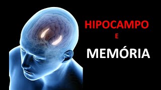 FUNÇÕES DO HIPOCAMPO MEMÓRIA EPISÓDICA  Neurodrops 1 [upl. by Leann810]