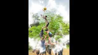 jdm group belavali dahi handi dahihandi 2k24 [upl. by Atiran]