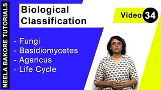 Biological Classification  NEET  Fungi  Basidiomycetes  Agaricus  Life Cycle  Neela Bakore [upl. by Seumas]