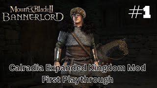 Mount amp Blade II Bannerlord Calradia Expanded Kingdoms Mod First Playthrough Part 1 [upl. by Ynalem]