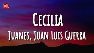 Juanes Juan Luis Guerra  Cecilia Letra  Lyrics [upl. by Oiril]