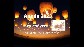 🐐🐑 Chèvres moutons signe astrologique chinois pour lannée 2023 🐑🐐 [upl. by Ortrude]