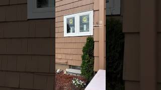 Pella window install windowinstall minnesota carpentry happyfriday pellawindows [upl. by Mccully]