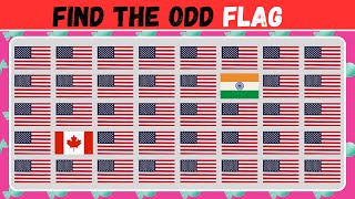 Spot the Different Flag 🌎  Ultimate Country Flags Quiz [upl. by Dasi]