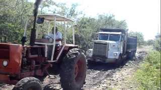 Tractor en barro jalando volquete con 12 mts3 de piedrin Las Marimbas [upl. by Barbe]