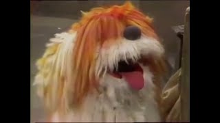 Classic Sesame Street Woof Woof Meets the Residents 1978 [upl. by Raybourne]