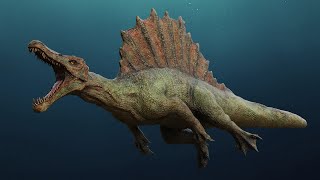 Spinosaurus  Spino Dinosaur [upl. by Adnavoj]