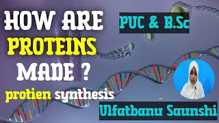 DNA TO PROTEIN  PROTEIN SYNTHESIS  TRANSCRIPTION AND TRANSLATION 💥💥 [upl. by Twelve588]