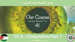 CH 3 Conjunctiva part1 Ophthalmology 41 [upl. by Niessuh]