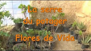 La serre du potager à Flores de vida [upl. by Franza]