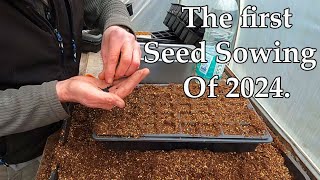 Allotment Diary  Sowing the first Veg Seeds of 2024 [upl. by Watkin]