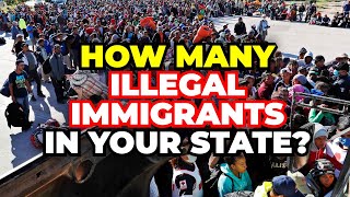 The Number of Illegal Immigrants in Every State in America [upl. by Behre229]