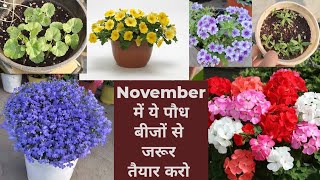 Winter Flowers की बीज से लगाई 30  तरह की पौध  Winter Flowers From Seedling Winter Seeds Online [upl. by Otilia470]