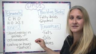 Organic compounds  4 main types described [upl. by Marney]