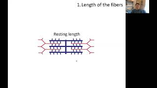 Muscle Physiology LengthTension Relationship [upl. by Lynett]