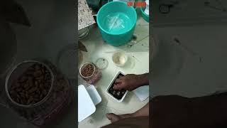 how to make grindal worms aquarium fish betta [upl. by Malamut]