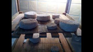 Comment faire ses petits fromages à la maison [upl. by Kayle]