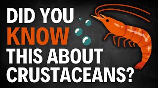 SHOCKING FACT about Crustaceans [upl. by Ahcsrop6]