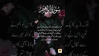 Quran Pak foryouシ shorts quranurdutranslation subscribe [upl. by Shriner]