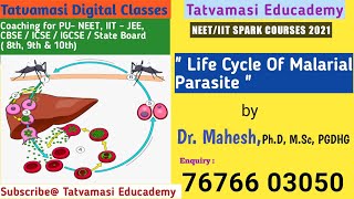 quotLife Cycle Of Malarial Parasitequot [upl. by Socram]