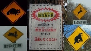 Japanese Animal Street Signs [upl. by Ellecrag]