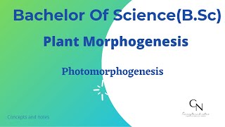 Photomorphogenesis  Phytochrome  Cryptochrome  Plant morphogenesis  For BSc students [upl. by Ocnarfnaig631]