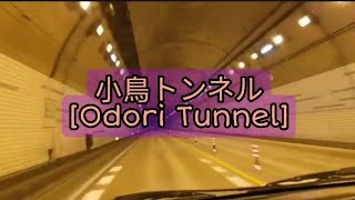 小鳥トンネル Odori Tunnel  Takayama Gifu Japan [upl. by Gnues]