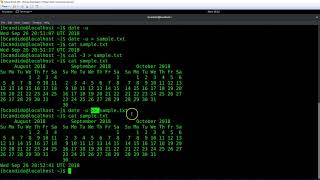 Chapter 1 UNIX Commands Part 3 [upl. by Scoville]