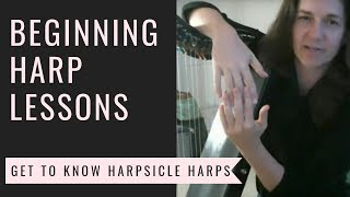 Beginning Harp Lessons Becoming Friends with Your Harpsicle Harp [upl. by Humfrey]