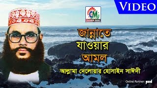 Allama Delowar Hossaien Saidy  Jannate Jawar Amol  জান্নাতে যাওয়ার আমল  Video Album  Waz Mehfil [upl. by Hasheem178]