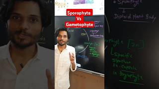 Sporophyte Vs Gametophyte 🔥✨ k2institute viral biology shorts biology11 [upl. by Loggins94]