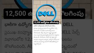 Dell Layoffs Employees [upl. by Cassell]