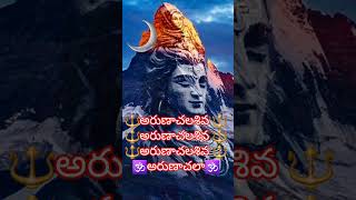 Arunachala Shiva Devotional Songs in Telugu  RamanaMaharshi shiva lordshiva karthikamasam love [upl. by Enirod]