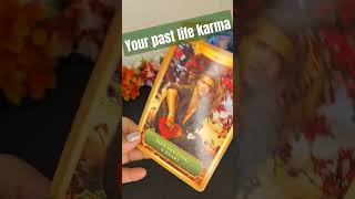 🦋🎉YOUR PAST LIFE KARMAS🌟TAROT HINDI READING 🍀🎉 TIMELESS [upl. by Anirbaz275]