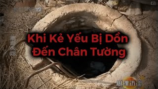 Khi Sát Nhân Hàng Loạt Trung Quốc Đội Lốt Kẻ Yếu [upl. by Aihsyt]