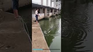 Fabulous under bridge fishing catching up enormous fish fishingwithnet netfishing fishing [upl. by Watts853]